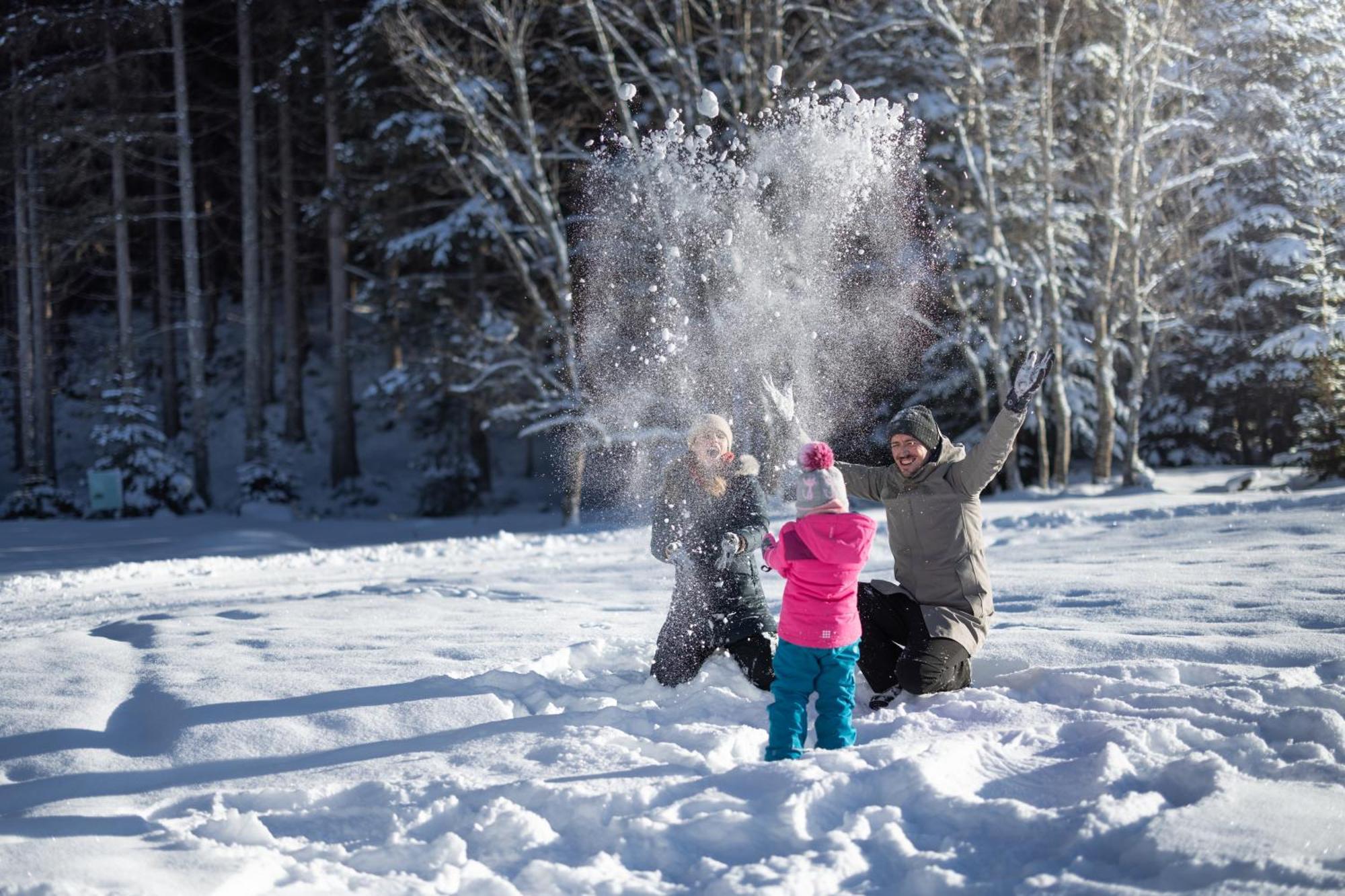 Feriengut Ottacherhof - Active Family Holiday In Central Hollersbach Hollersbach im Pinzgau Εξωτερικό φωτογραφία